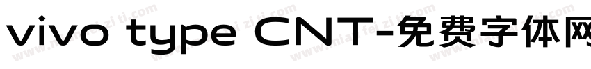 vivo type CNT字体转换